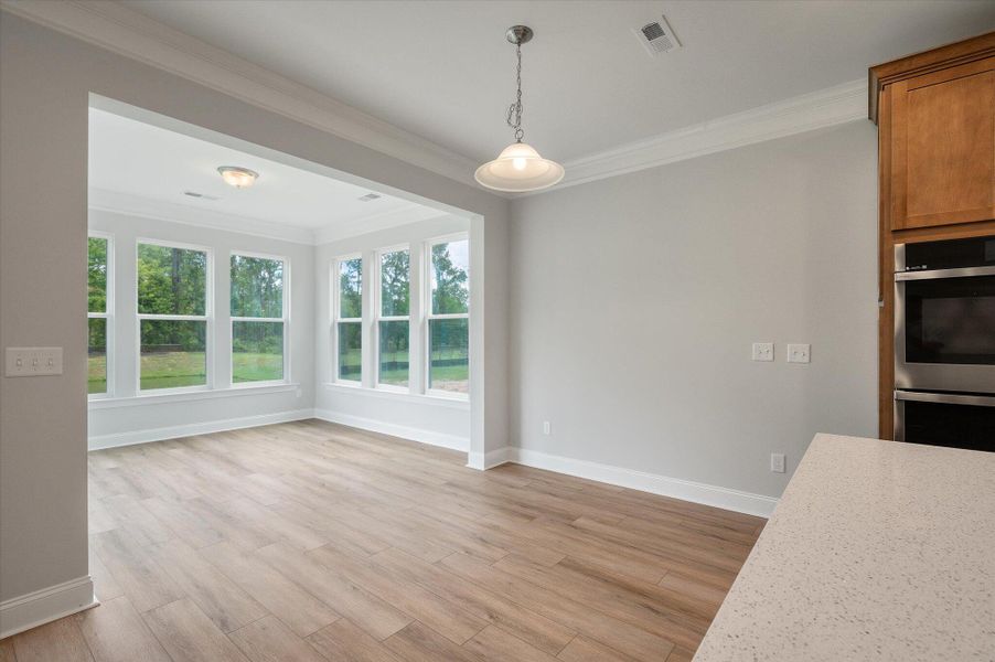 Spacious, unfurnished interior of a new home in Parker's Preserve, Ridgeville (Image 35).