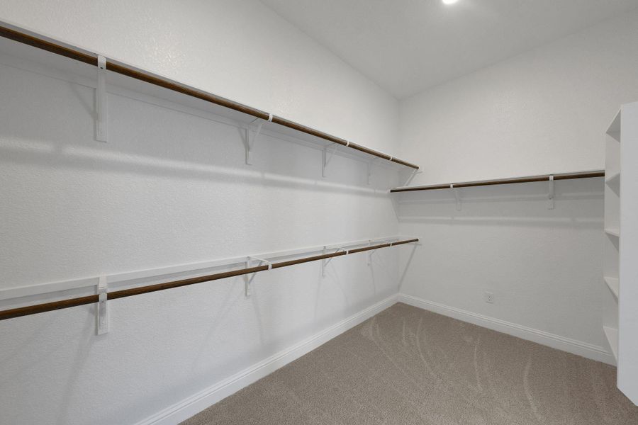 Spacious closet with carpet floors Spacious closet with carpet floors