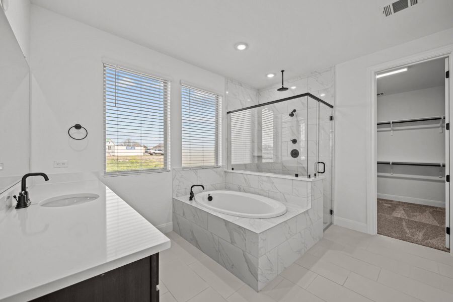 Owner's Bathroom