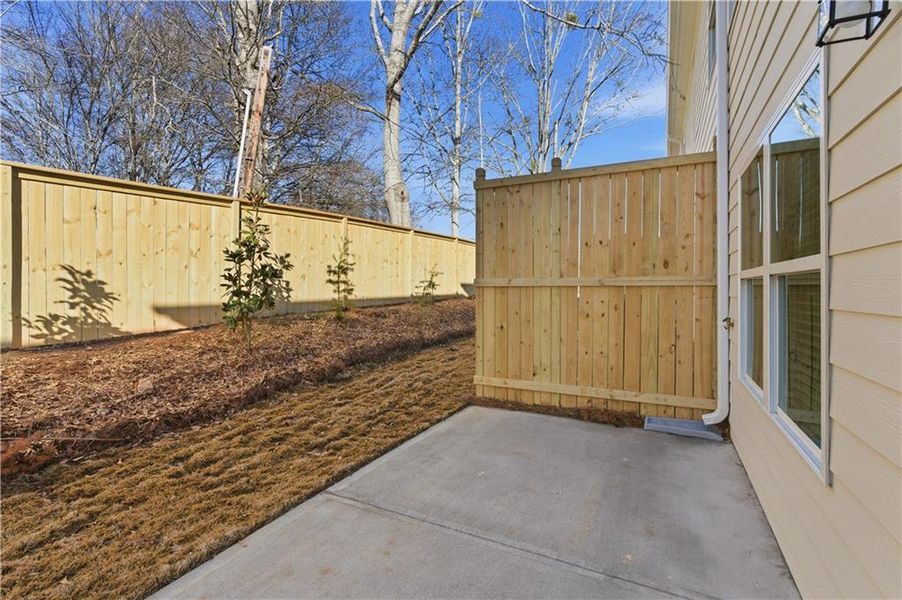 Exterior details and patio area of a home in Silver Leaf, Dawsonville (Image 22).