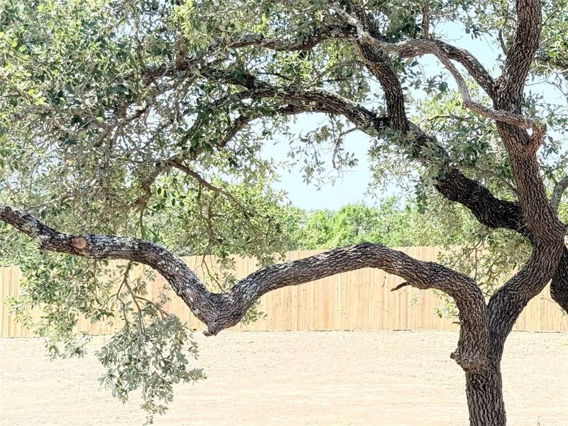 Image 19 of a home in .