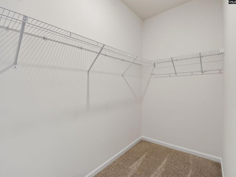 Spacious, unfurnished interior of a new home in Old Charleston Acres, Pelion (Image 34).