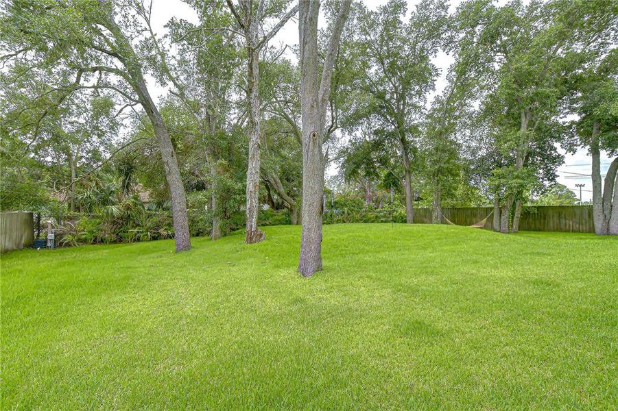 Natural landscape and outdoor views near  in Tampa (Image 50).