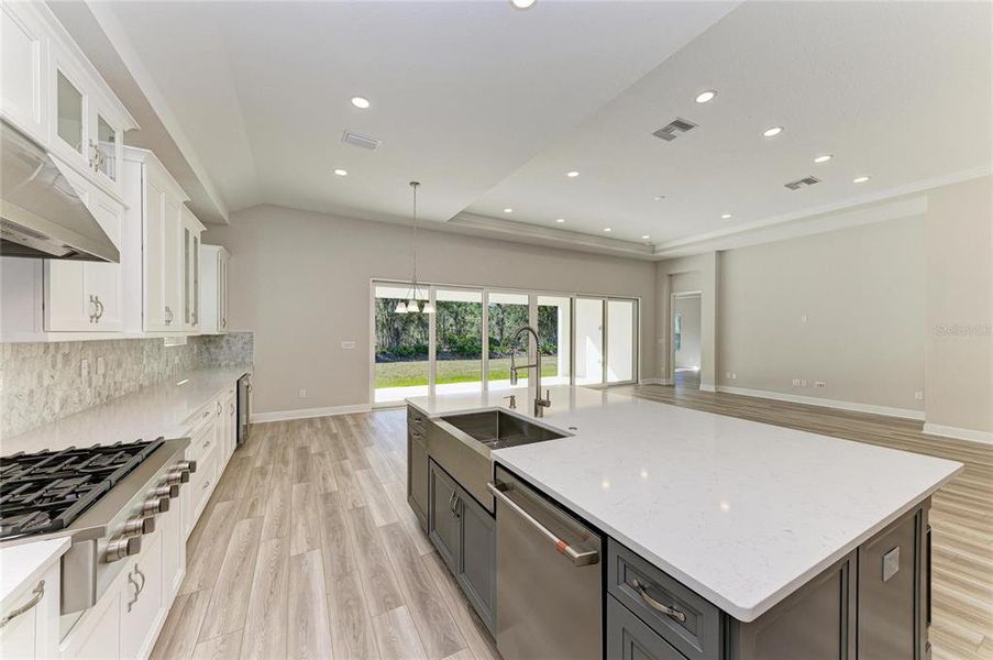 Furnished interior view inside a new home in Hawkstone, Lithia (Image 6).