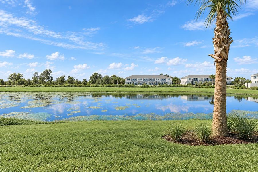 Natural landscape and outdoor views near Firethorn in Parrish (Image 19).
