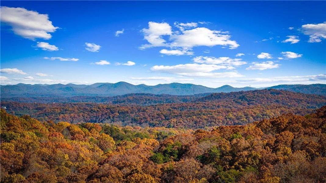 Natural landscape and outdoor views near  in Blue Ridge (Image 46).