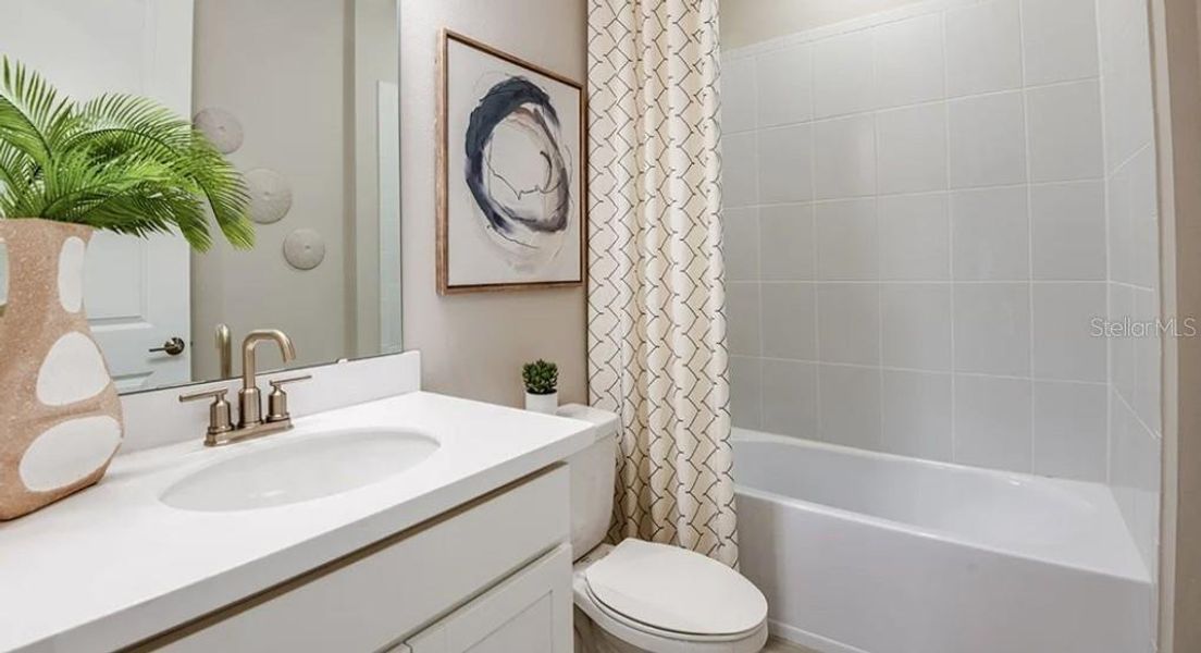 REPRESENTATIVE PHOTOS