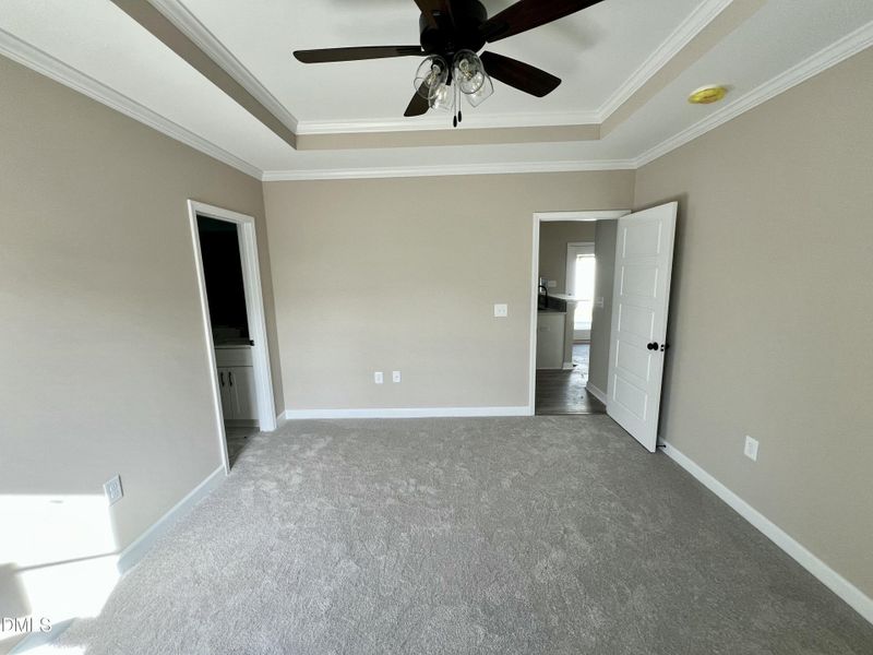 IMG_6578 2 IMG_6578 2