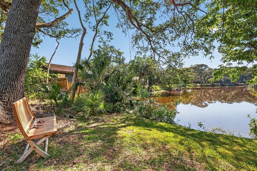 Natural landscape and outdoor views near  in Mount Dora (Image 40).