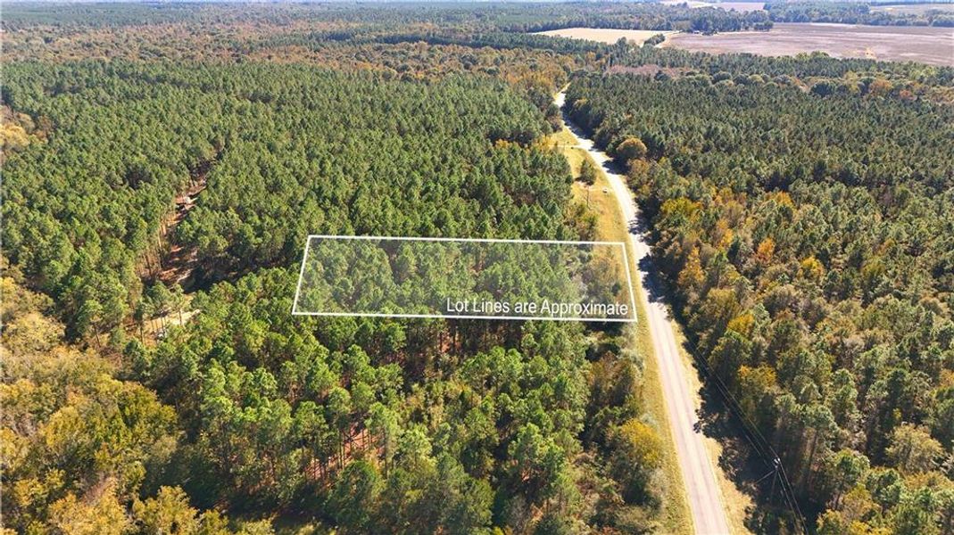 Natural landscape and outdoor views near  in Chester (Image 32).