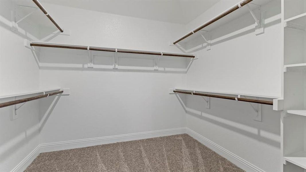 Walk in closet with light carpet