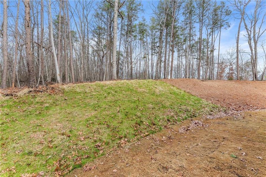 Natural landscape and outdoor views near  in Clarkesville (Image 41).