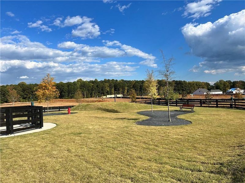 Community amenities in The Reserve at Bells Ferry, Kennesaw (Image 37). Community amenities in The Reserve at Bells Ferry, Kennesaw (Image 37).