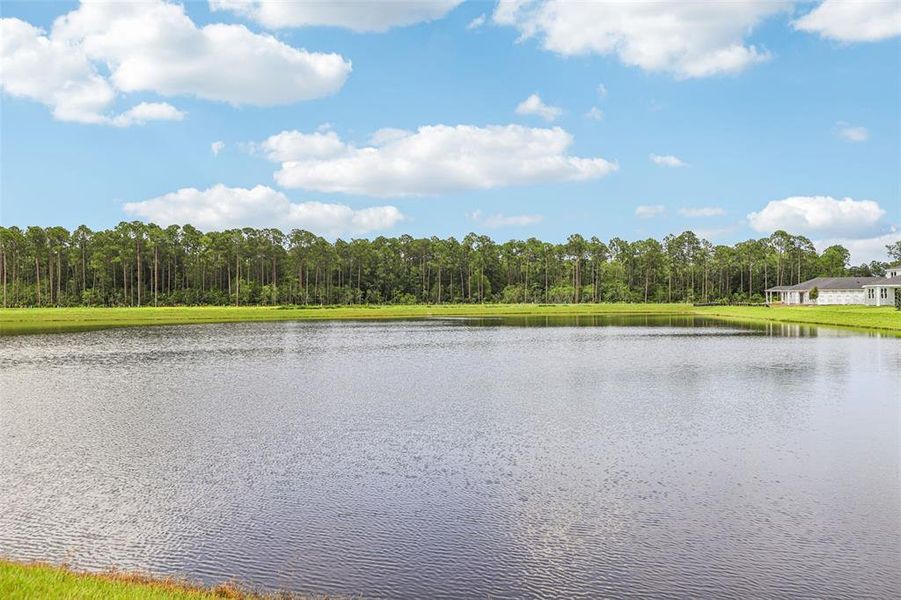 Natural landscape and outdoor views near Flagler Village - Signature Series in Palm Coast (Image 40). Natural landscape and outdoor views near Flagler Village - Signature Series in Palm Coast (Image 40).