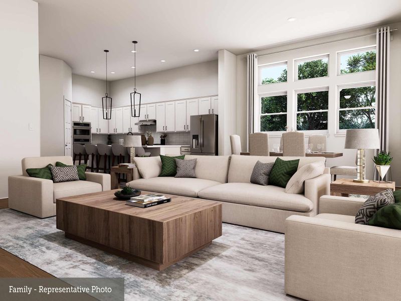 Family Room - Representative Photo
