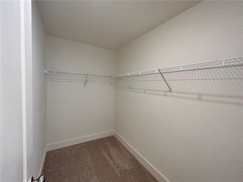 Spacious closet with dark carpet