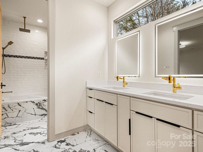 upper-level double vanity tub and rain head shower