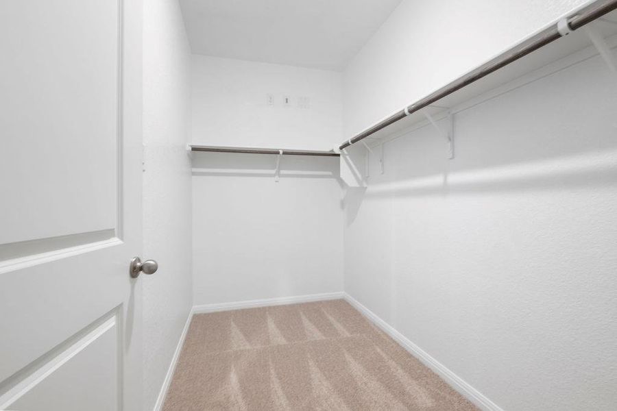 Walk in closet with light colored carpet