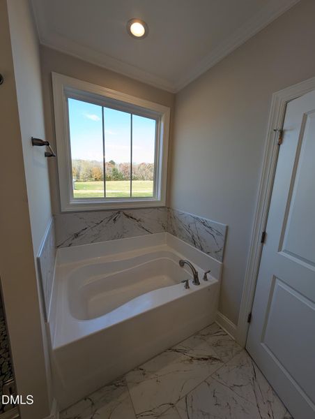 PXL_20251120_142900783 PXL_20251120_142900783