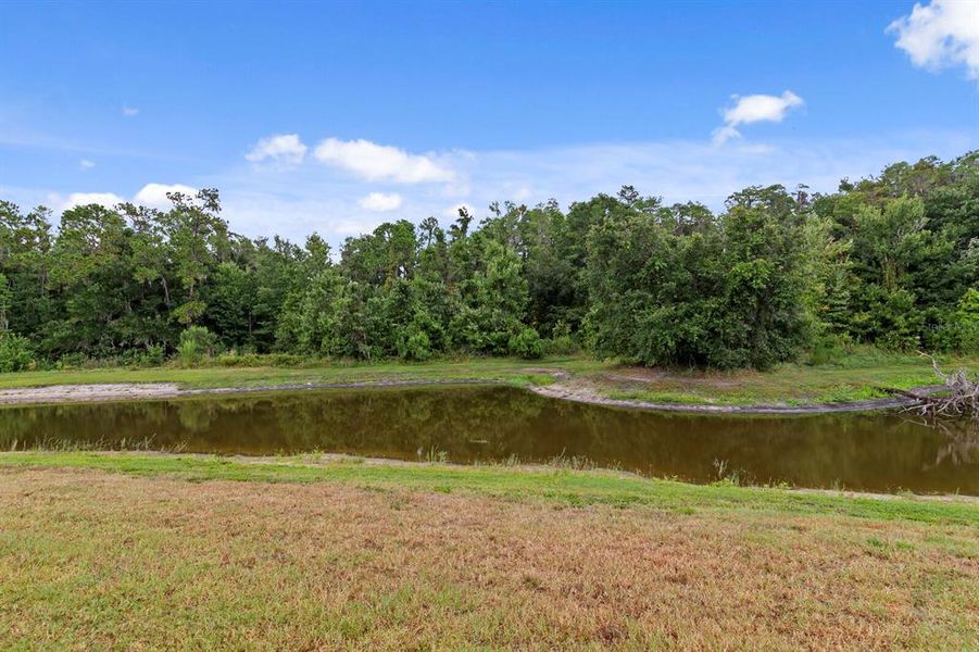 Natural landscape and outdoor views near  in Tampa (Image 35).
