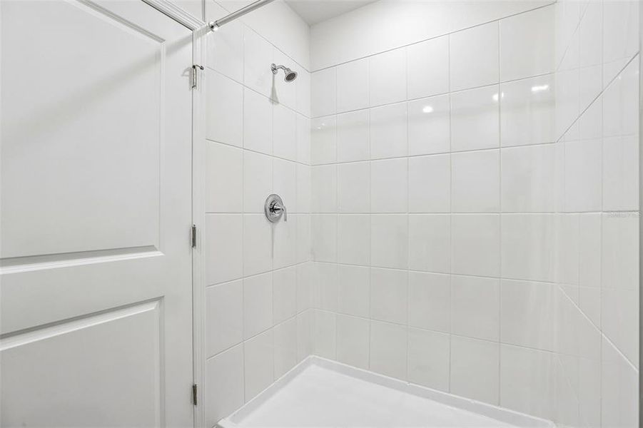 Close-up of interior finishes inside a home in Benton Hills - Premier Series, Brooksville (Image 17).