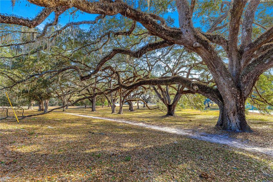 Lake Otting Park