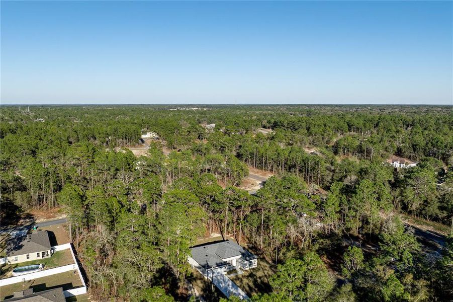 Natural landscape and outdoor views near  in Citrus Springs (Image 41).