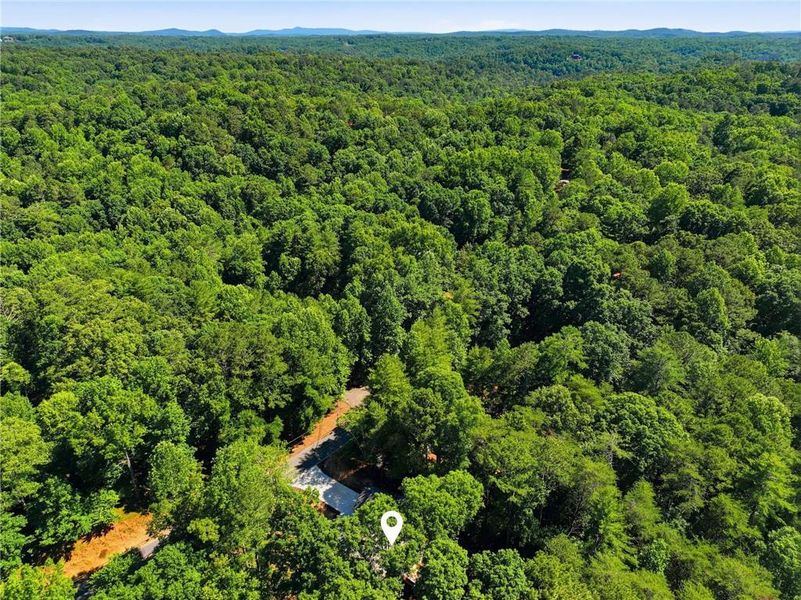 Natural landscape and outdoor views near in Ellijay (Image 27). Natural landscape and outdoor views near in Ellijay (Image 27).
