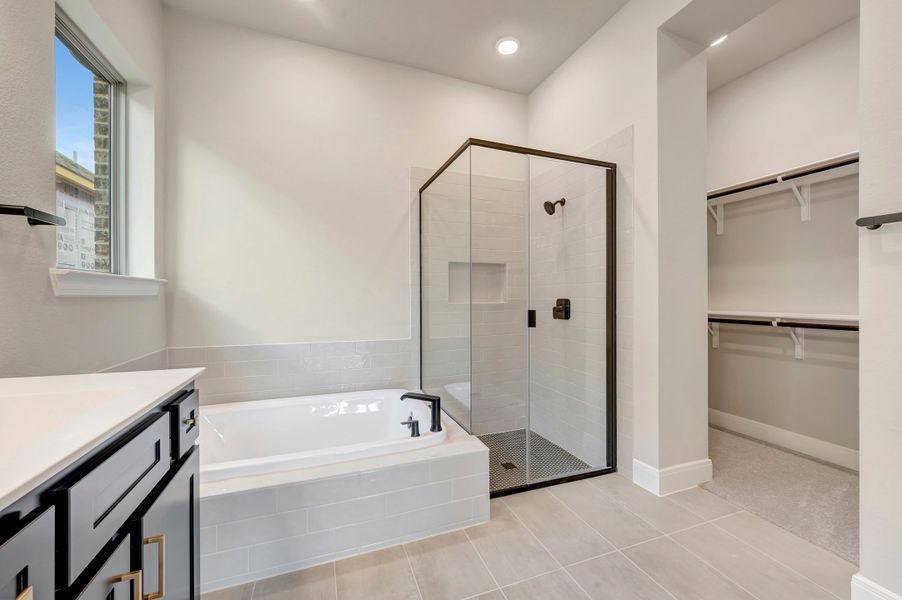 Owner's Bath