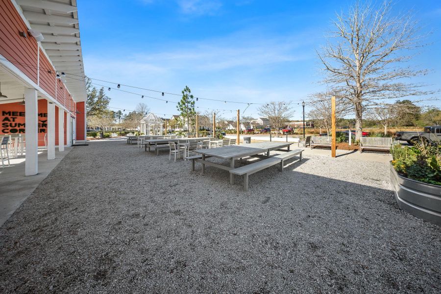 Community amenities in Heron's Walk at Summers Corner, Summerville (Image 48).