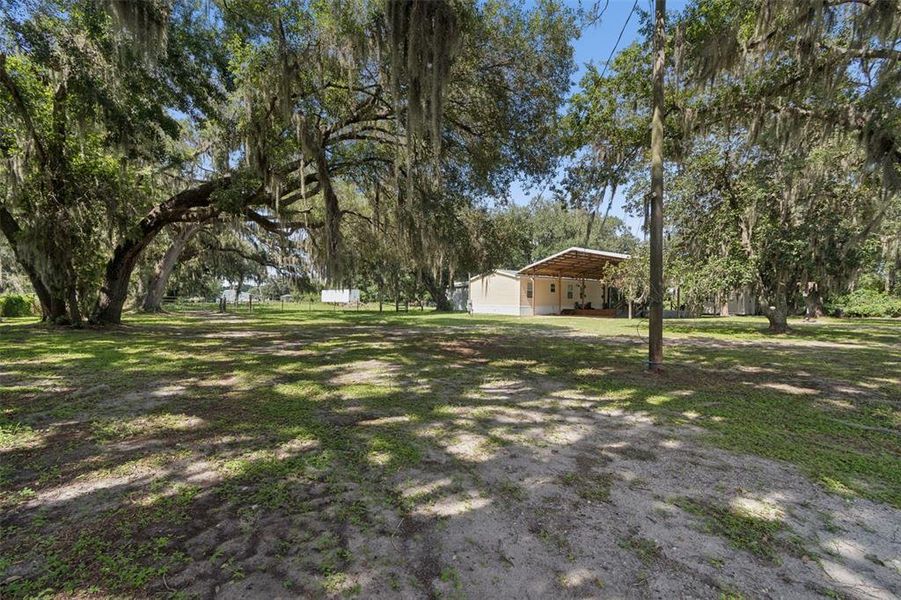 Natural landscape and outdoor views near in Plant City (Image 56). Natural landscape and outdoor views near in Plant City (Image 56).