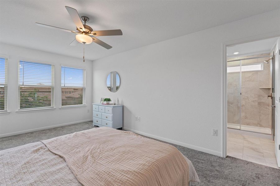 Primary bedroom has a wall of windows allowing for natural light and a celing fan