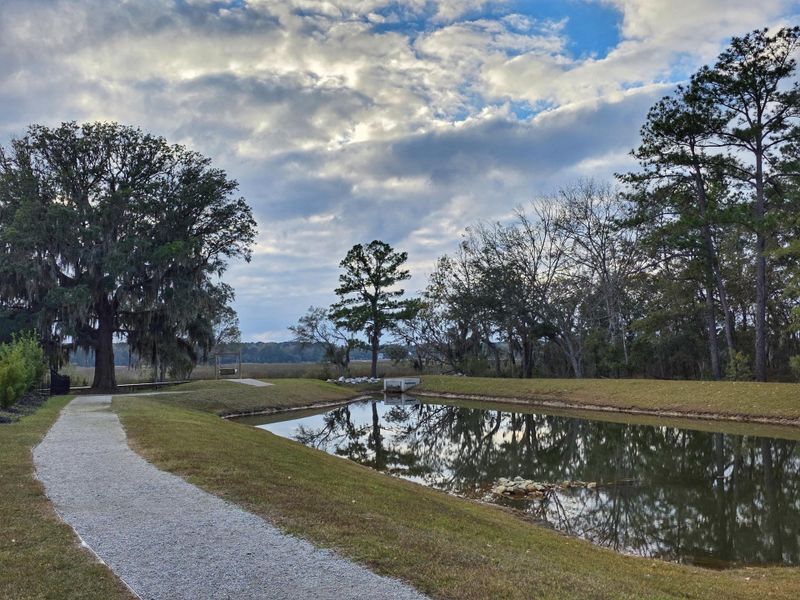 Natural landscape and outdoor views near Cordgrass Landing in Johns Island (Image 41).
