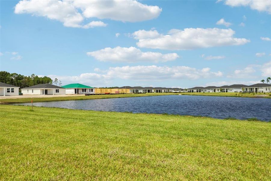 Natural landscape and outdoor views near Colbert Landings in Palm Coast (Image 37).