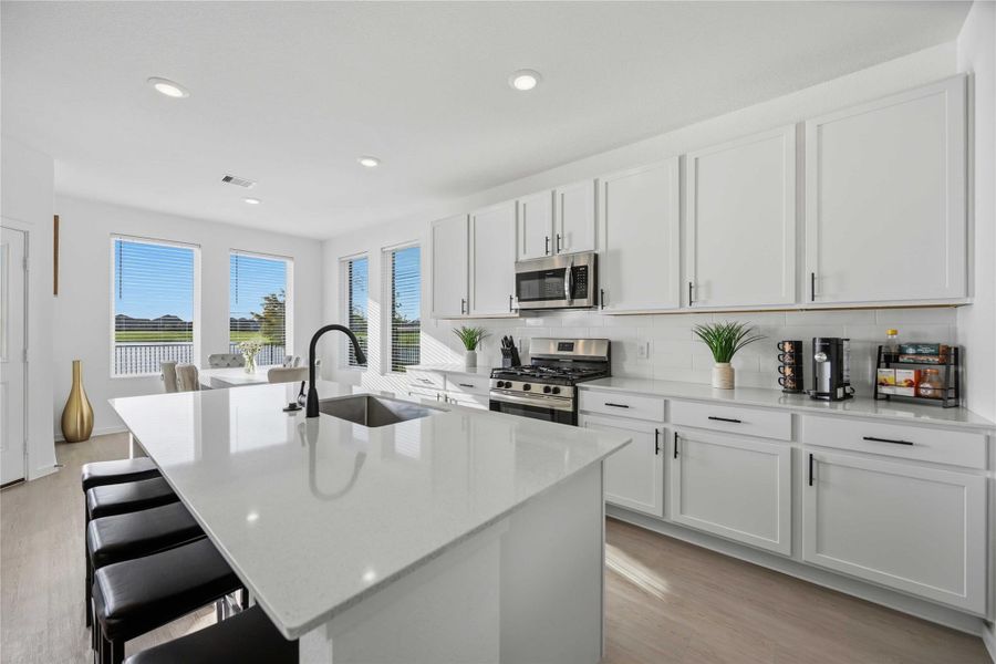 Kitchen Area w/ Large Island / Open Concept Kitchen Area w/ Large Island / Open Concept