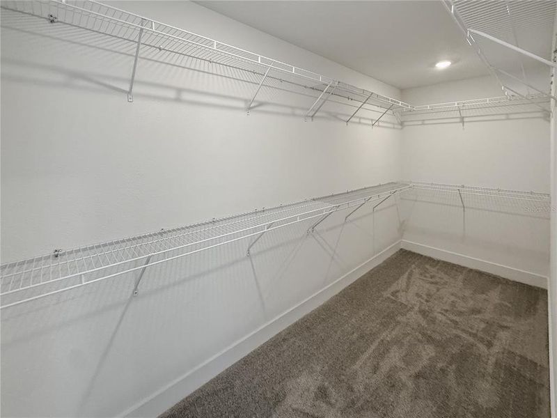 Spacious, unfurnished interior of a new home in Arbor Park, Leesburg (Image 15).