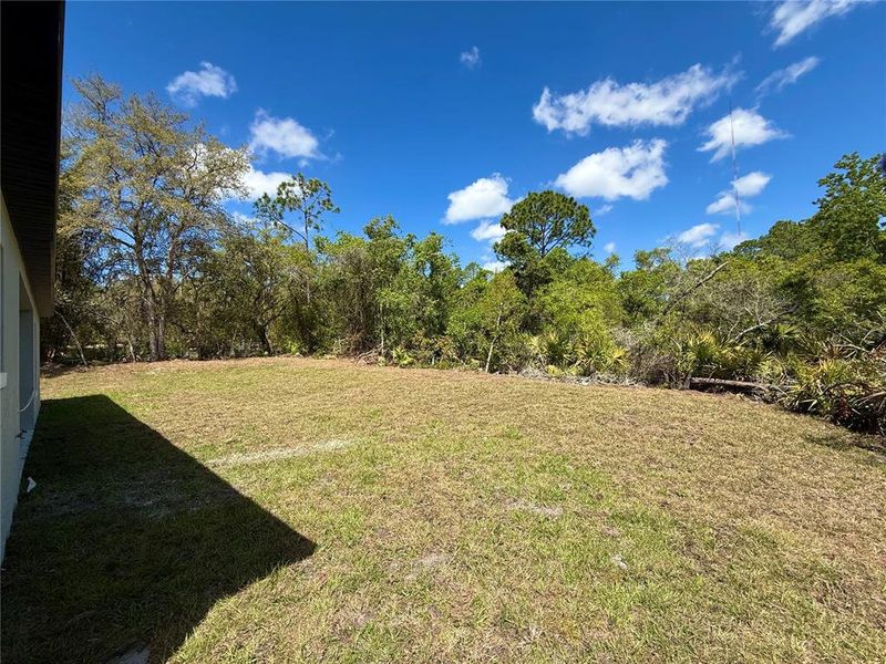 Natural landscape and outdoor views near  in Eustis (Image 38).