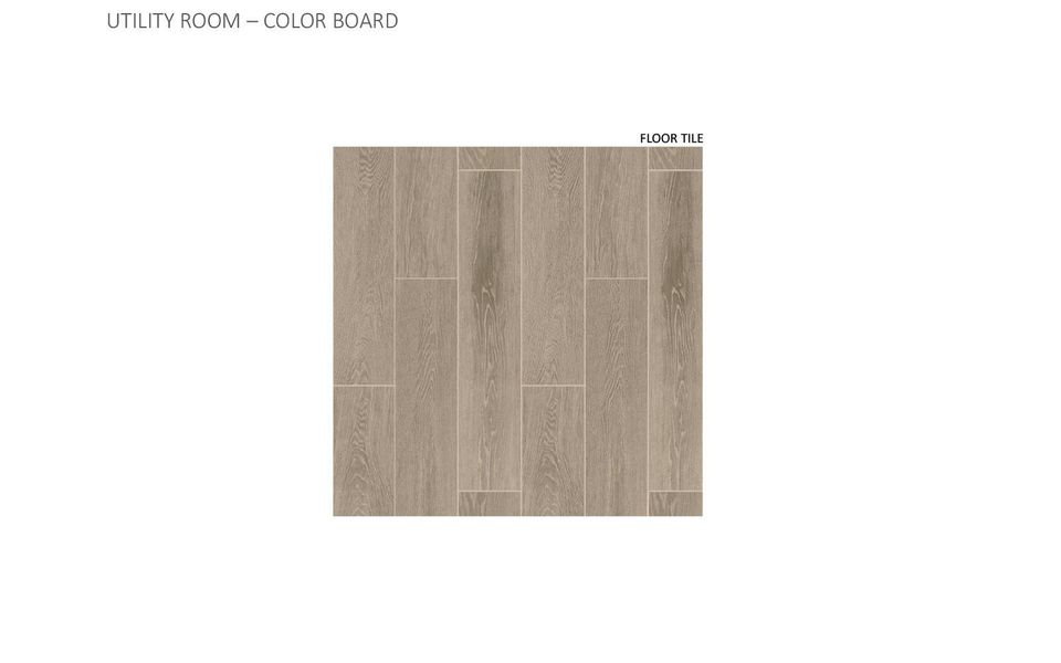 Image 10 of a home in Urban Courtyard Homes at Easton Park.