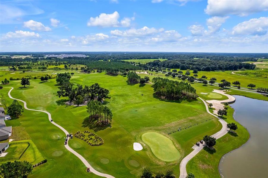Natural landscape and outdoor views near  in Ocala (Image 49).