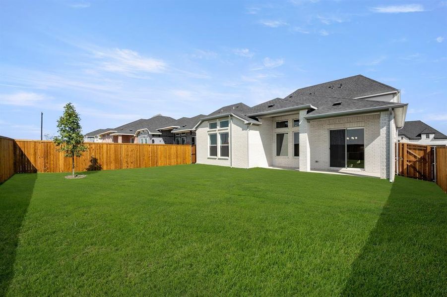 16953 Leatherflower- Back-1