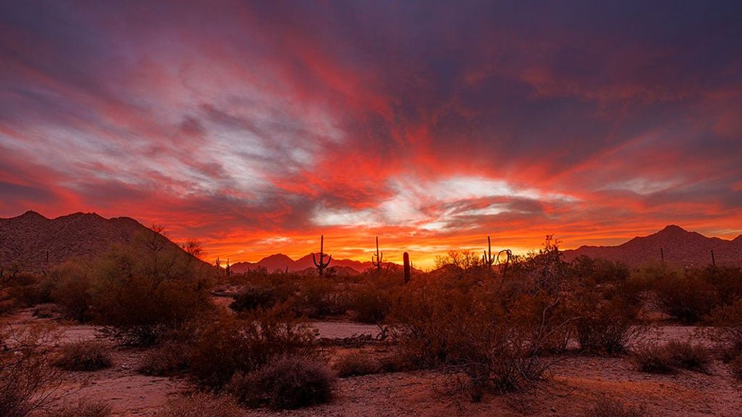 Natural landscape and outdoor views near Ladera Trails in Queen Creek (Image 25).