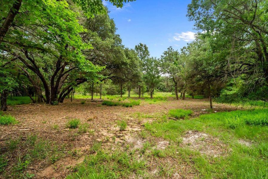 Natural landscape and outdoor views near  in Weatherford (Image 35).