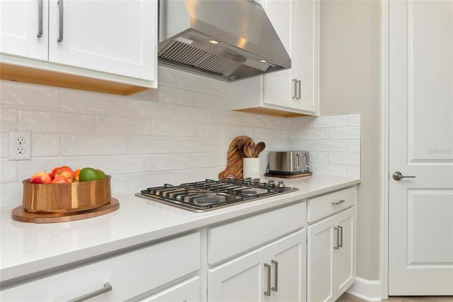 Close-up of interior finishes inside a home in Skye Ranch Community Group Page, Sarasota (Image 21).