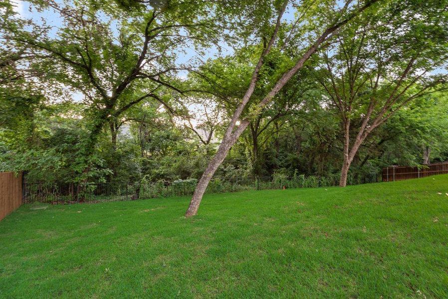Natural landscape and outdoor views near  in Trophy Club (Image 37).