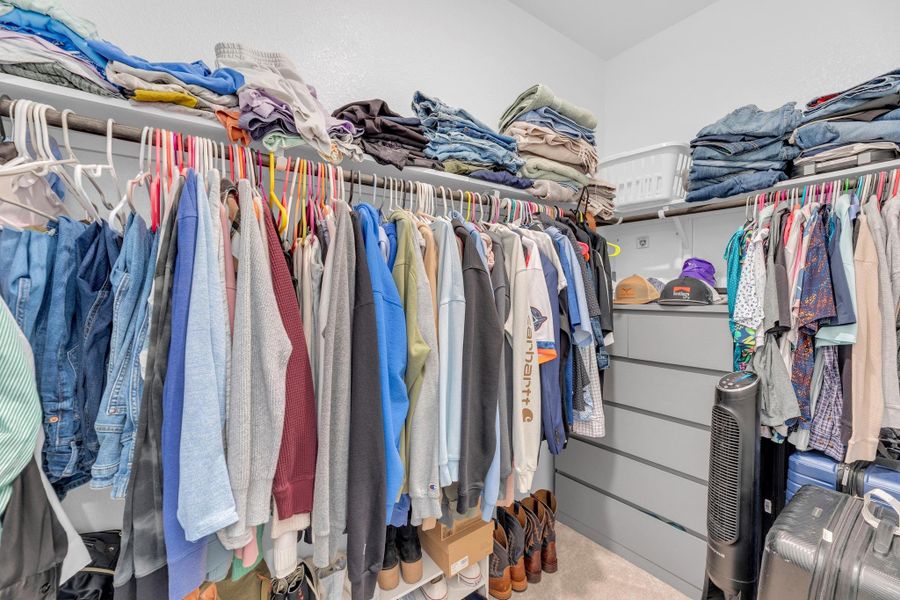 Walk in closet with carpet floors