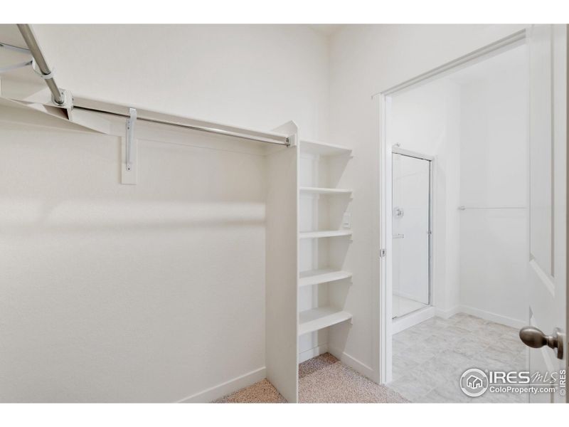 Spacious, unfurnished interior of a new home in Brighton Crossing, Brighton (Image 26).