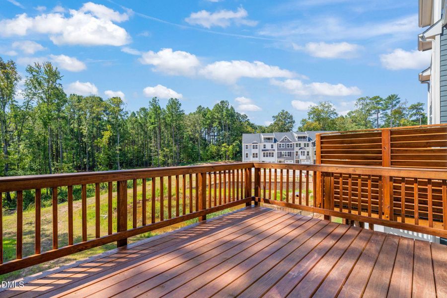 Expansive Back Deck