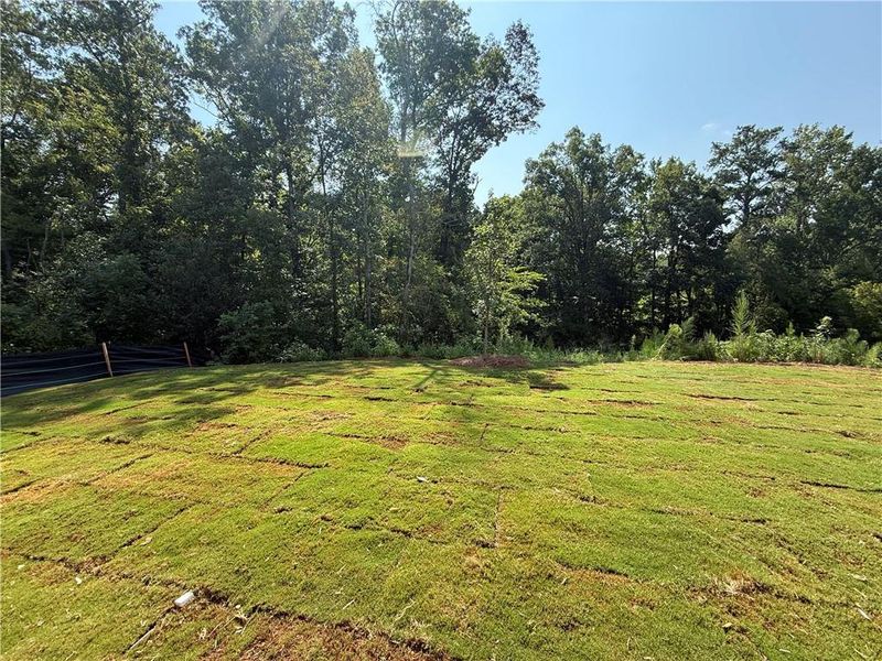 Natural landscape and outdoor views near Maple Village in Adairsville (Image 29). Natural landscape and outdoor views near Maple Village in Adairsville (Image 29).
