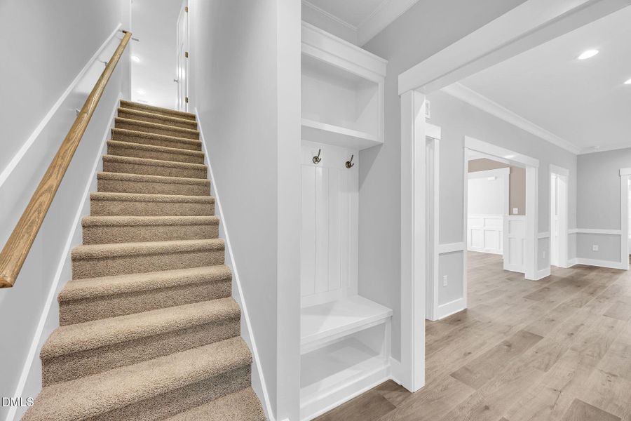 36-web-or-mls-9L1A2594