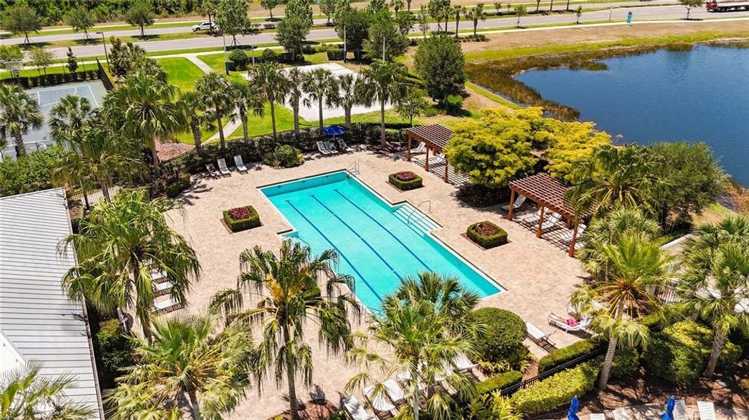 Community amenities in Waterset, Apollo Beach (Image 33).